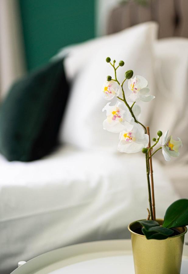 Comfortable House In Nuneaton Sleeps5 Free Parking Good Amenites Eksteriør billede
